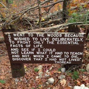 Walden Pond. Thoreau.