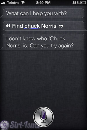 Chuck Norris is the Man!