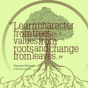 Learn character from trees, values from roots and change from leaves.