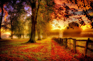 Majestic Autumn Nature Landscape