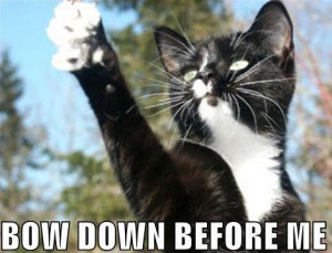 This article was originally published in forum thread: The Post ...