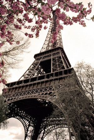 eiffel tower, love, paris