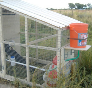 homemade chicken watering systems