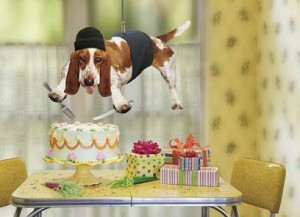 dog birthday cake - rottweiler discussion forums. Miyuki's birthday ...