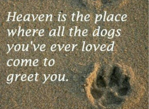All dogs go to heaven♥