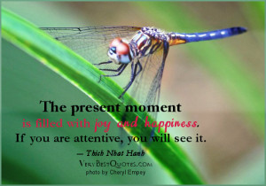 ... Joy and Happiness.If You are Attentive,You Will See It ~ Joy Quote