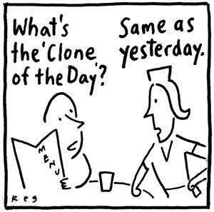 Some of the cattle cloned to boost food production in the US have been ...