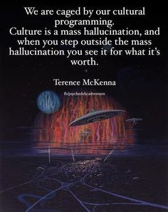 quote by terrence mckenna more thoughts inspiration quotes culture ...