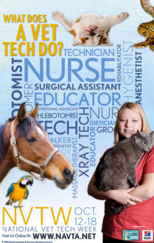 the role that veterinary technicians play in the veterinary field