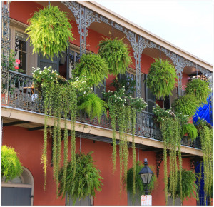 ... Orleans French Quarter a more livable and beautiful place to visit