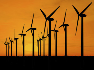 An increase in wind energy education