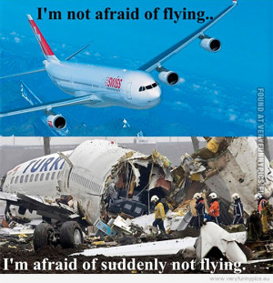 ... Picture - I'm not afraid of flying - I'm afraid of suddenly not flying