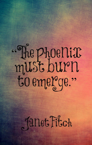 must burn to emerge....