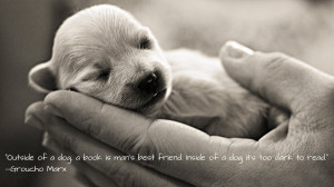Cute Puppies With Quotes Hd