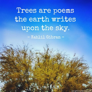 Trees are poems the earth writes upon the sky. { Kahlil Gibran } # ...