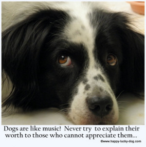 Inspirational Dog Quotes Where Written For Puppies Like Him