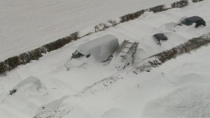 Deep Snow Vehicles