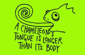 Images chameleon picture quotes image sayings