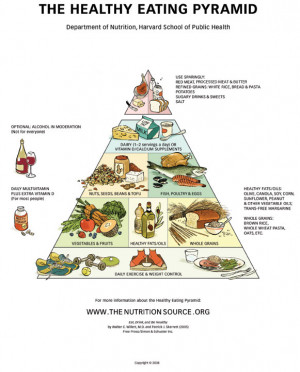 Nutrition Pyramid, Food Network, Or Network Of Pyramids, And Learning ...