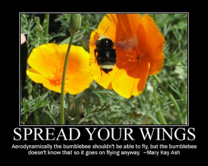 bumble bee - inspiration motivation motivationalposters teacher quotes ...