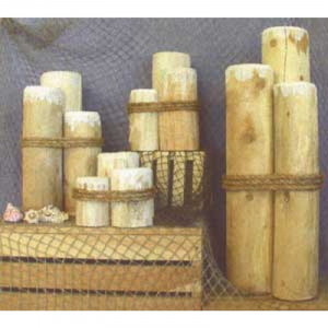nautical pilings with rope