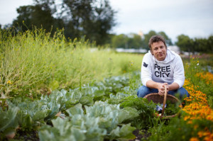 Our favourite Jamie Oliver quotes