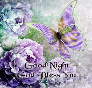 God Blessed You, Goodnight Quotes, Night God, Night Blessed, Lavender ...