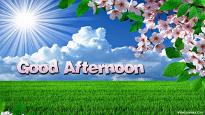 Good Afternoon SMS