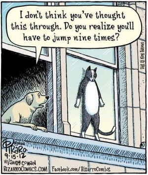 ... Funny cartoons , Funny Pictures // Tags: Funny cartoon - Suicide cat