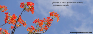 Facebook Cover Photo Flowers Quote on Reason and Heart