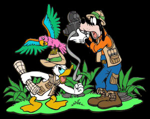 Disney Wondersofdisney