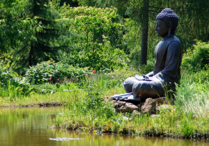 Lord Buddha Meditation Statue Nature