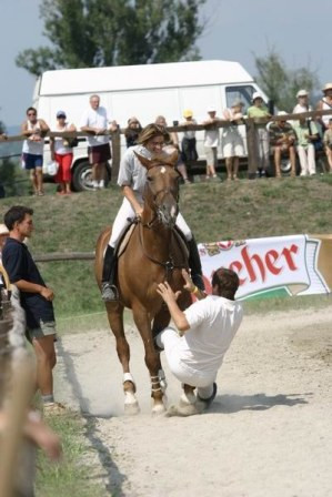 Funny Horse (28)