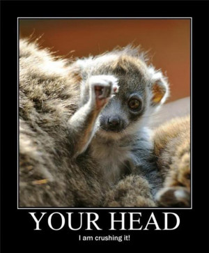 funny demotivational posters, animal is crushing your head
