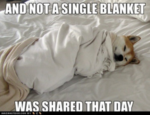 funny cold weather has cheese burger, cold weather has cheese burger