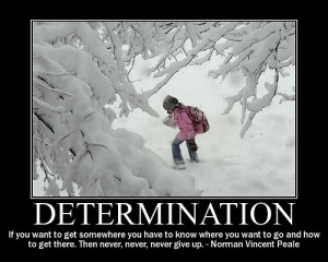 Quote On Determination