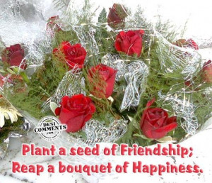 Plant a seed of friendshipreap a bouquet of happiness friendship quote