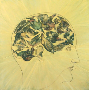 Phrenology Of A Bird Brain (Part II) by Ali Swaringen
