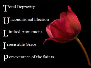 love the Doctrines of Grace for one primary reason: God's sovereign ...