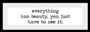 everything has beauty, you just have to see it.