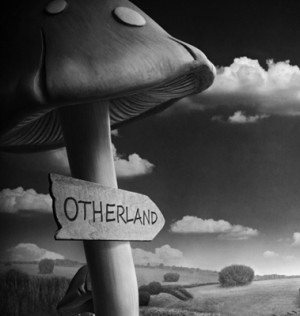 Drugs #LSD #magic mushroom