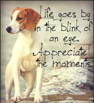Life Goes By In The Blink Of An Eye . appreciate the moments.