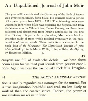 Funny Quotes About Your Ex Husband’s New Girlfriend