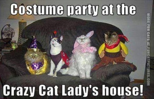 funny cat pics crazy cat lady costume-party