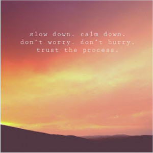 slow down calm down don t worry don t hurry trust the process