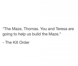 Thomas And Teresa Maze Runner