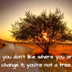 If You Don’t Like Where You Are, Change It; You’re Not A Tree