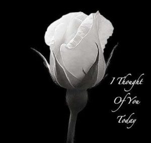 Rose Flower Love Quote Rose flower love quote