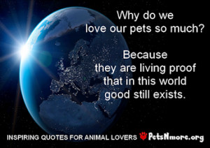 Inspiring Quotes For People Who Love Animals