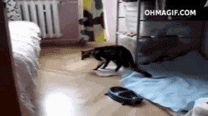 GIF – How I feel after staying up late night